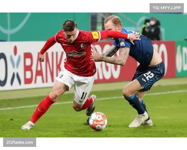 日本球员德国-旅团-再扩容:德甲16人+德乙9人总数达25人